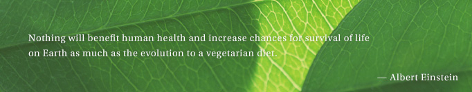 Eating healthy is not just a novel concept, but also a new way of life.